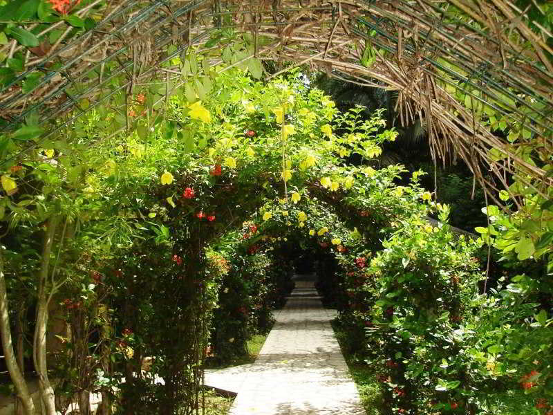 Chan-Kah Resort Village Convention Center & Maya Spa Palenque Eksteriør billede